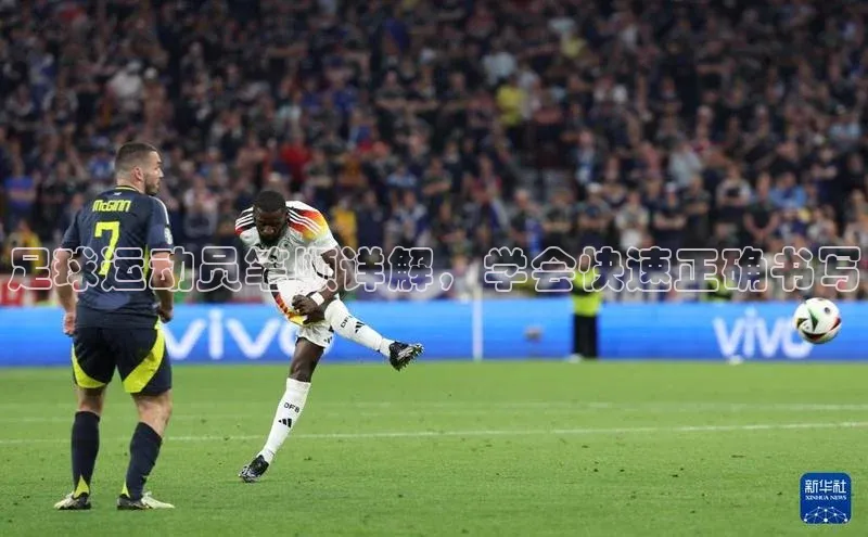 欧陆在线登录华策影视足球运动员笔顺详解，学会快速正确书写