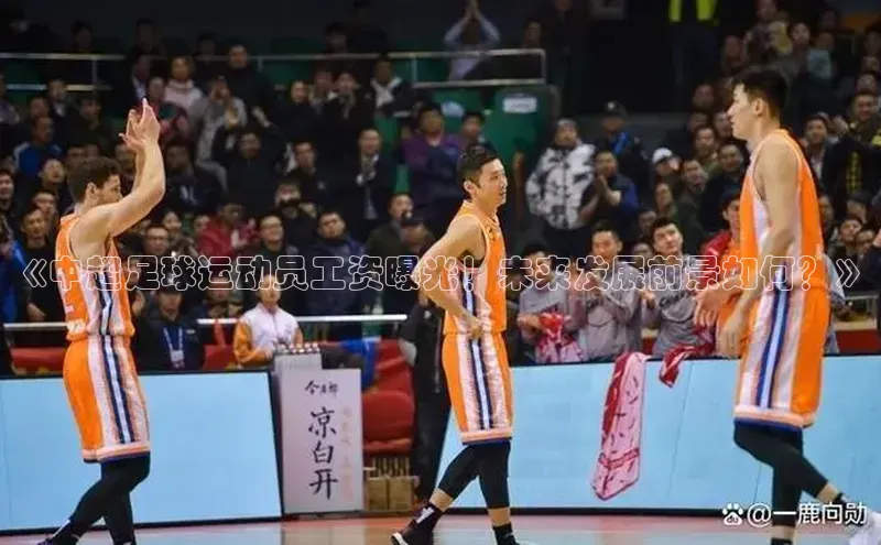 欧陆娱乐注册代理度小满支付《中超足球运动员工资曝光！未来发展前景如何？》