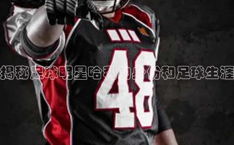 欧陆娱乐百度识图揭秘足球明星哈利的身份和足球生涯