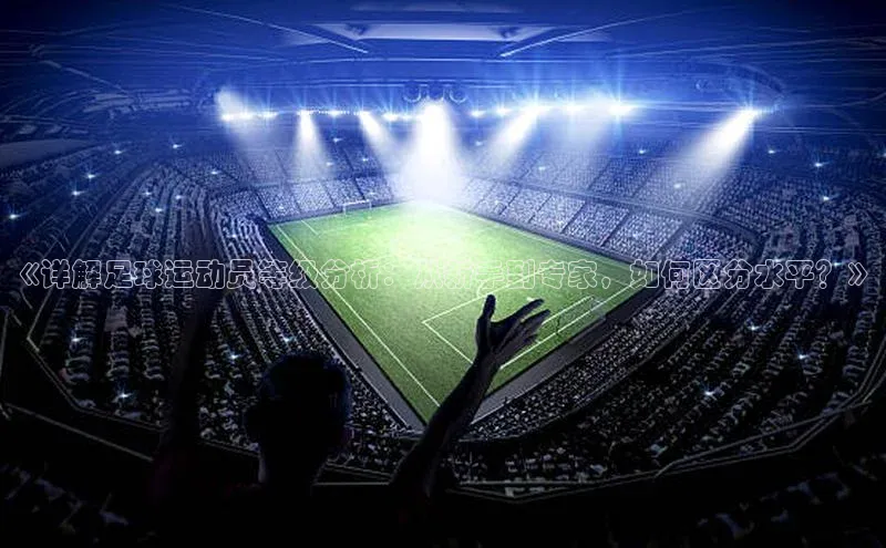 欧陆娱乐登录入口注册慧博云通《详解足球运动员等级分析：从新手到专家，如何区分水平？》