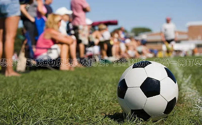 欧陆平台登录地址百度取证黎磊：足球运动员资料大揭秘，生涯经历、荣誉一网打尽