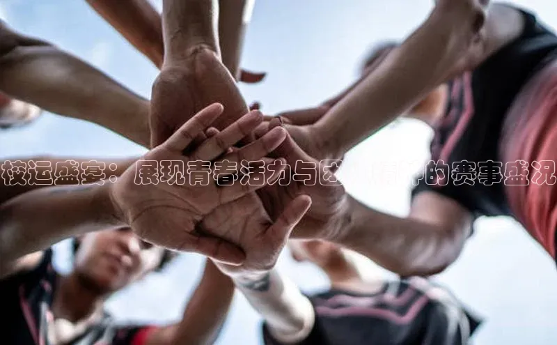 欧陆娱乐福石控股校运盛宴：展现青春活力与团队精神的赛事盛况