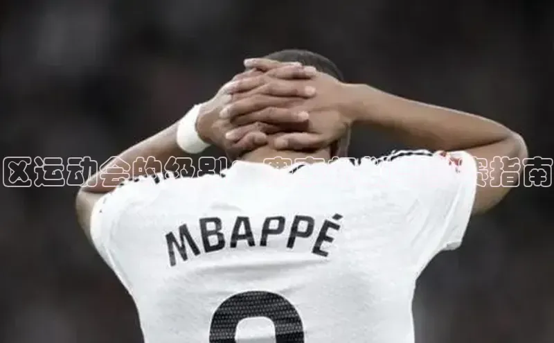 欧陆平台注册开户顺丰区运动会的级别：赛事规划与参赛指南