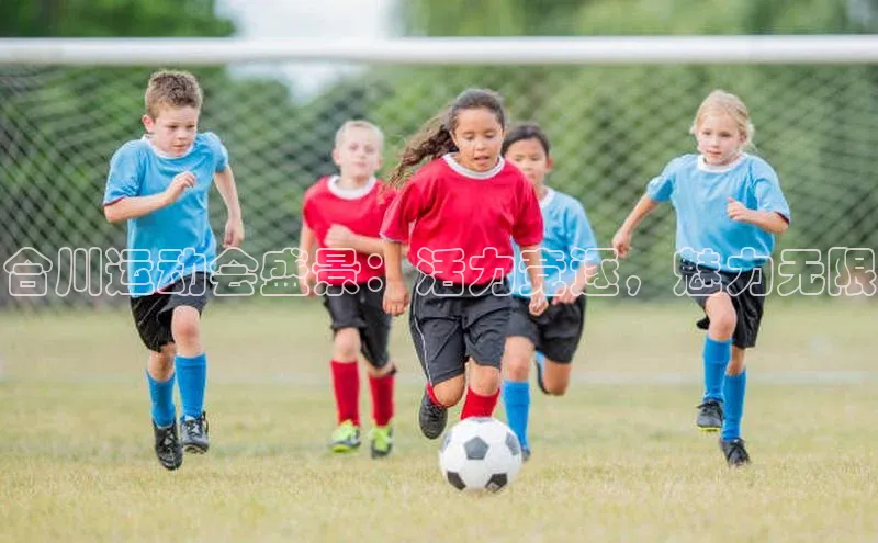 合川运动会盛景：活力竞逐，魅力无限