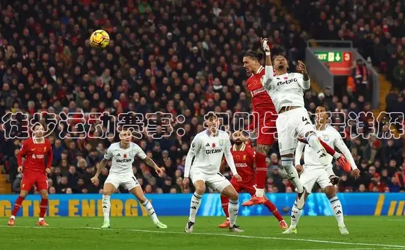 徒步运动赛事：规则与流程详解