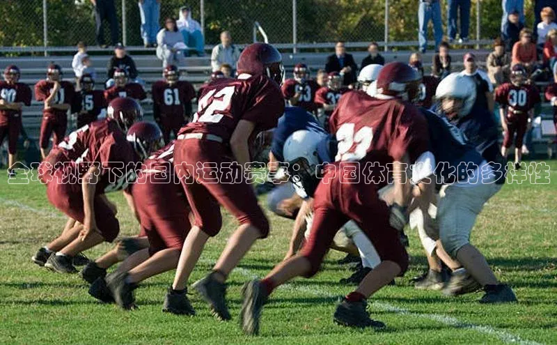 全球视野下的国内运动赛事：中国体育文化的多样性