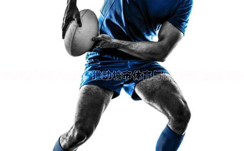 凤翔运动赛事公园：推动城市体育与休闲发展的新地标