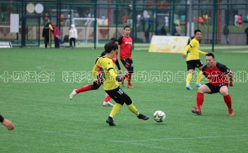 十四运会：精彩赛事与运动员的卓越之旅安排