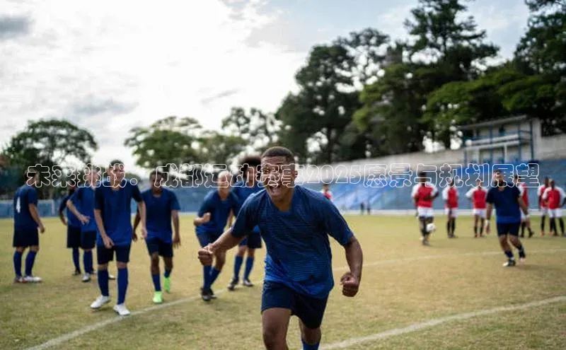 未来挑战：成都运动赛事2025愿景与规划展望