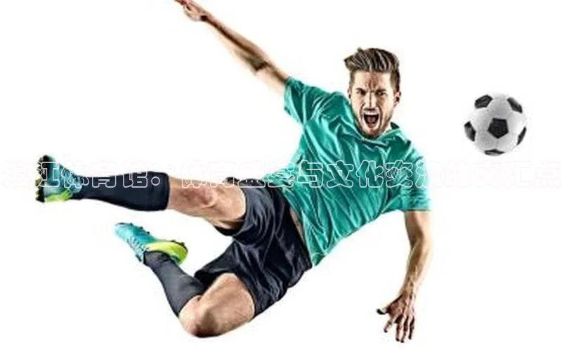 滨江体育馆：体育盛宴与文化交流的交汇点