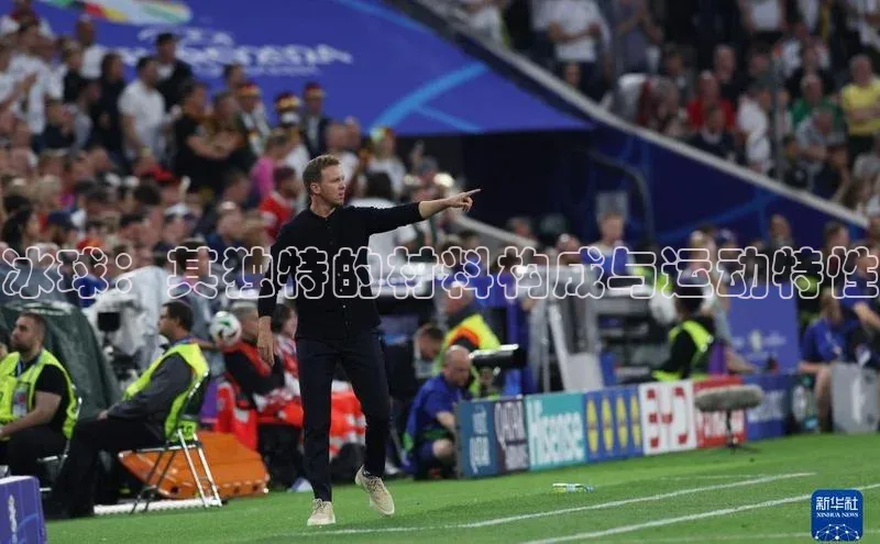 冰球：其独特的材料构成与运动特性