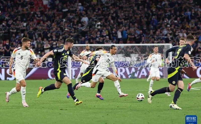 冠军之路：奥运健儿在赛场内外的故事