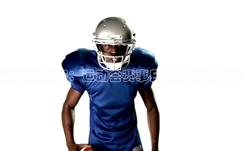 运动的盛宴：运动会赛事日程概览与分析