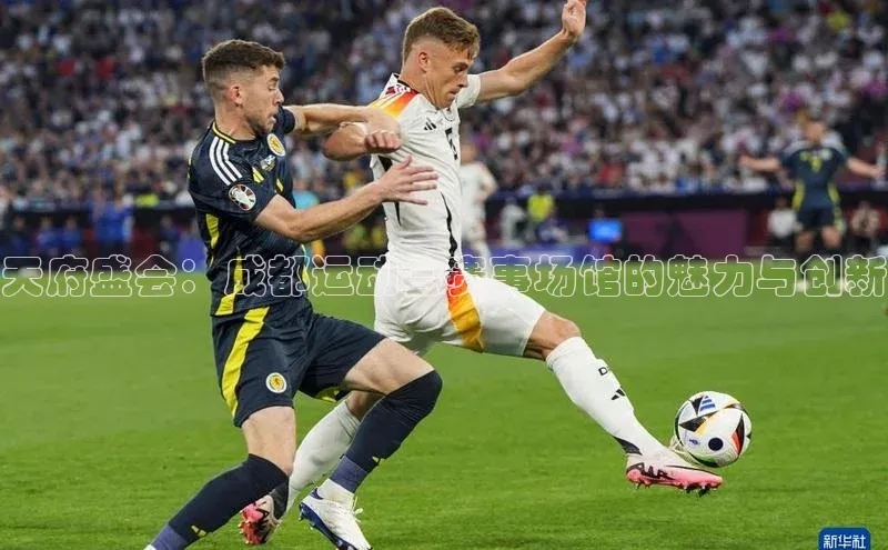 天府盛会：成都运动会赛事场馆的魅力与创新