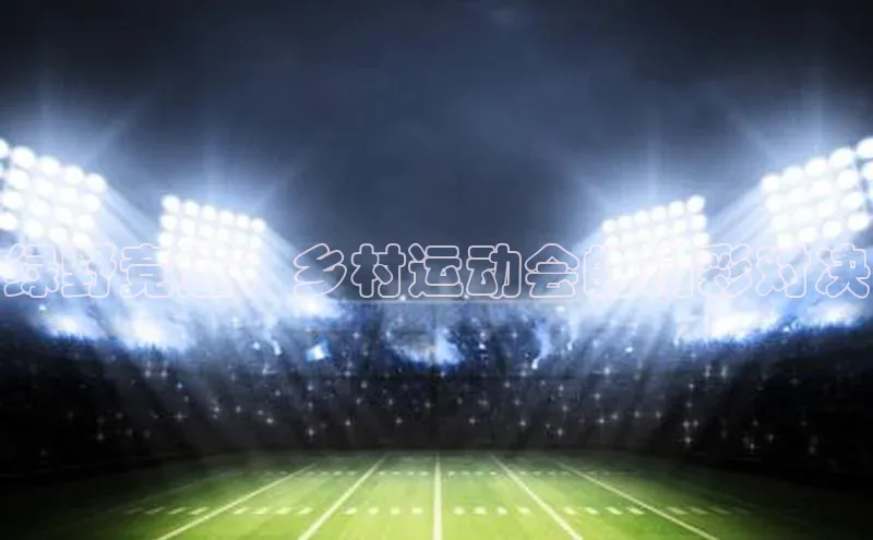 绿野竞速：乡村运动会的精彩对决