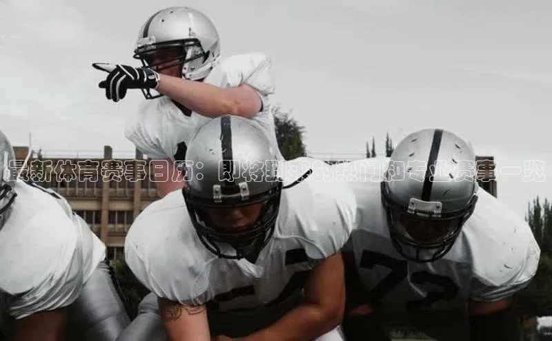 最新体育赛事日历：即将到来的热门和专业赛事一览