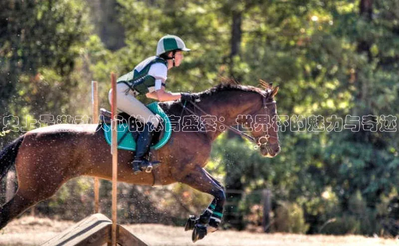 欧陆娱乐怎么注册账号